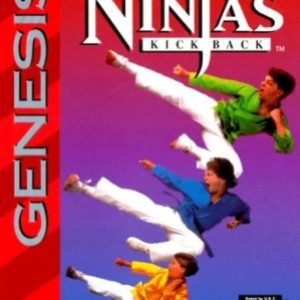 3+Ninjas+Kick+Back+(USA)-image (1)