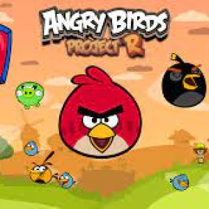 Angry Birds Project R