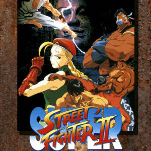 Super Street Fighter II The New Challengers